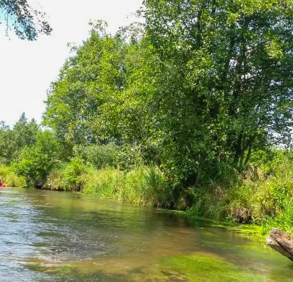 Organizacja spływu kajakowego - kajaki nad Wieprzem