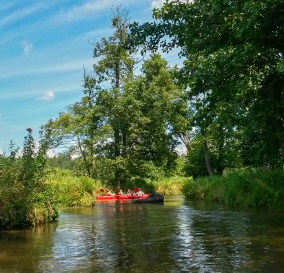 Organizacja spływu kajakowego - kajaki nad Wieprzem