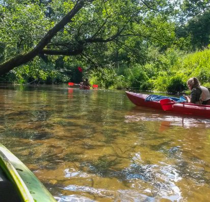 Organizacja spływu kajakowego - kajaki nad Wieprzem