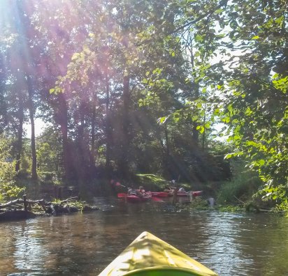 Organizacja spływu kajakowego - kajaki nad Wieprzem